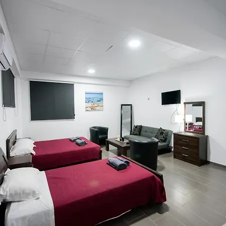 Luxury Apartment